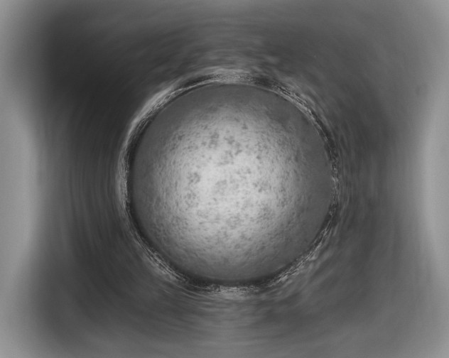 X0000116650149200912211454