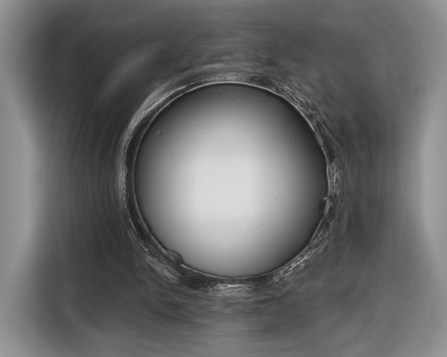 X0000116650150200912211454