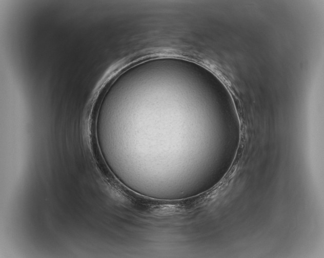 X0000116650151200912211454