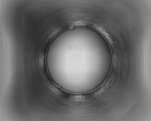 X0000116650153200912211454