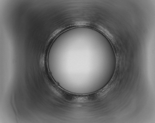 X0000116650155200912211454