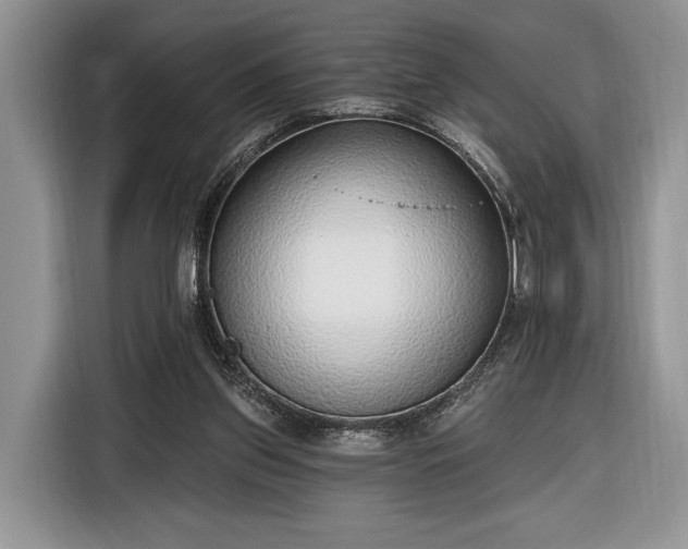 X0000116650157200912211454