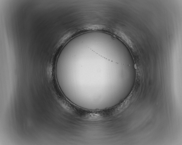 X0000116650159200912211454