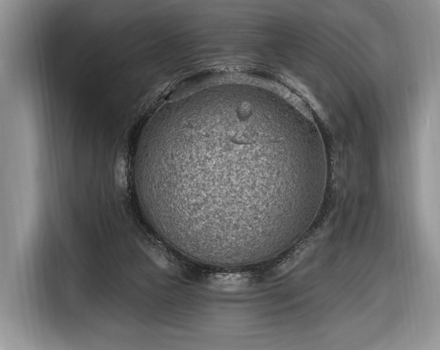X0000116650161200912211454