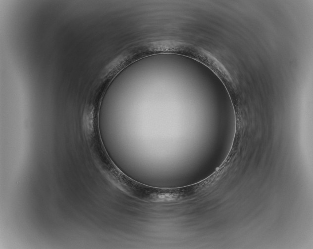 X0000116650163200912211454