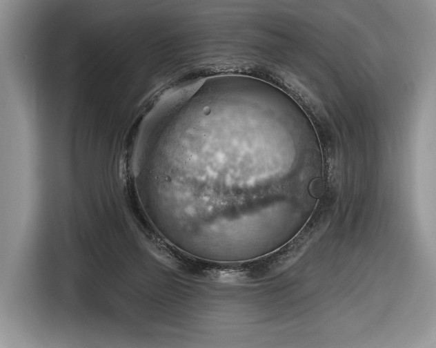 X0000116650165200912211454