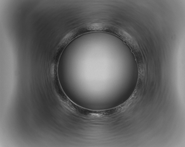 X0000116650167200912211454