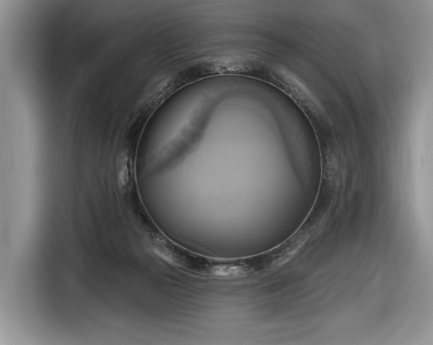 X0000116650169200912211454
