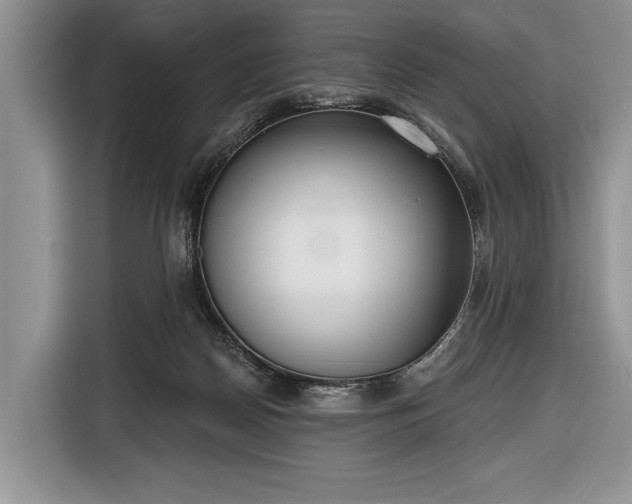 X0000116650170200912211454