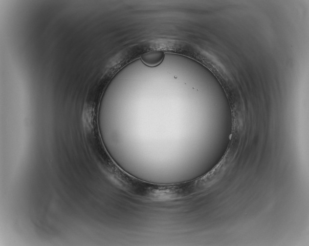 X0000116650171200912211454