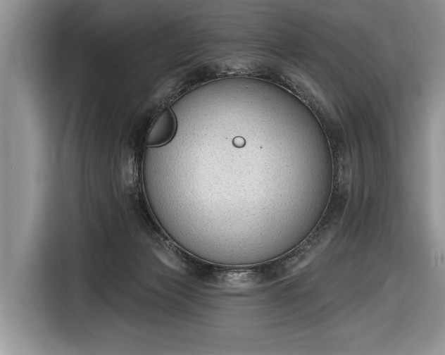 X0000116650173200912211454