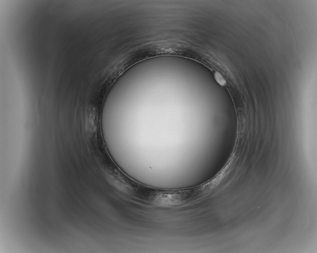 X0000116650174200912211454
