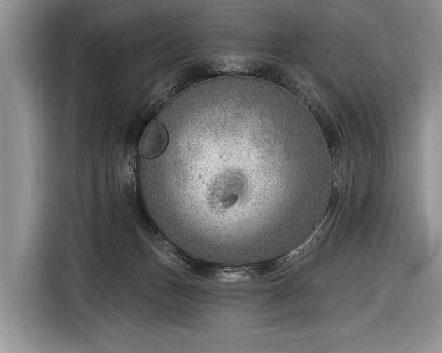 X0000116650175200912211454