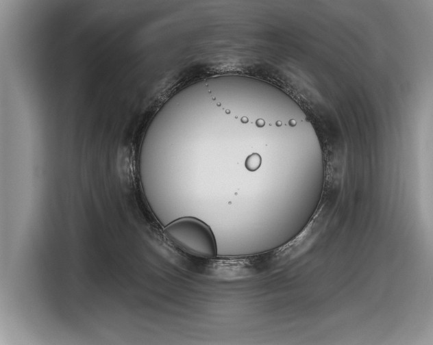 X0000116650179200912211454