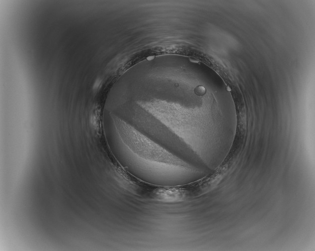 X0000116650181200912211454