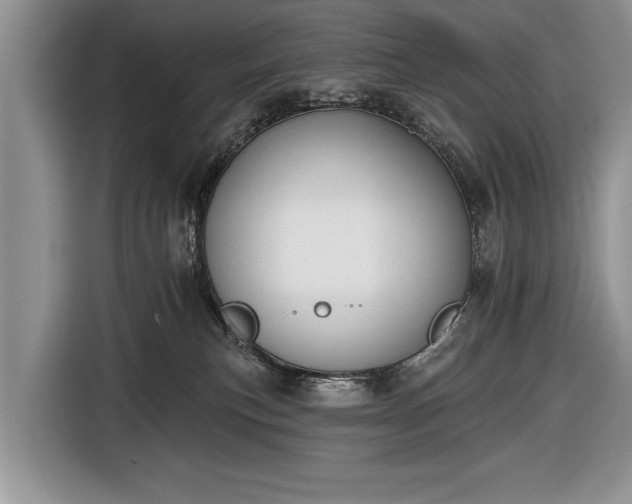 X0000116650183200912211454