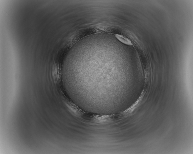 X0000116650186200912211454