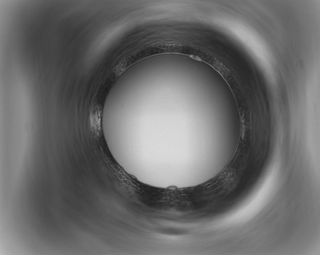 X0000116650190200912211454