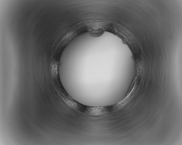 X0000116650191200912211454