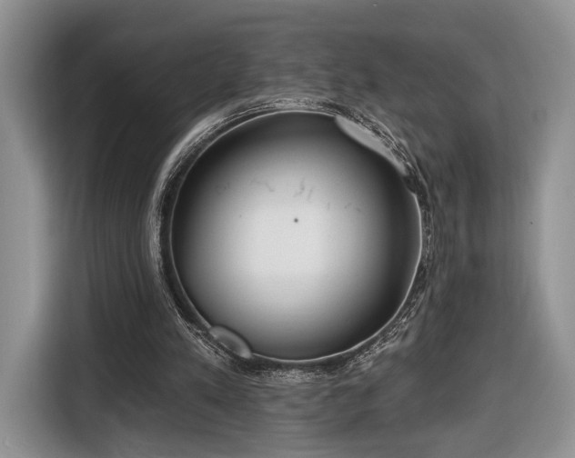 X0000116650197200912211454