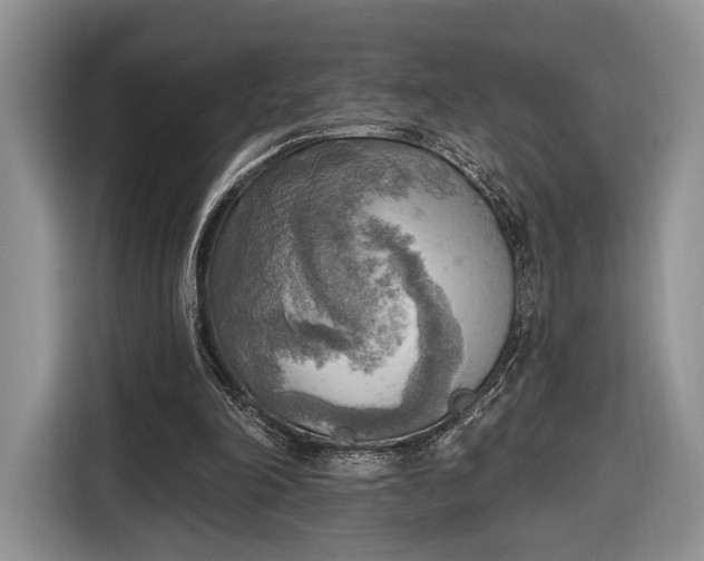 X0000116650198200912211454