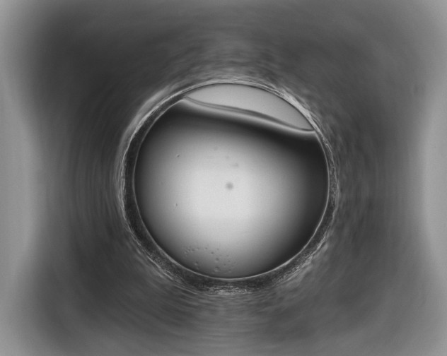X0000116650199200912211454