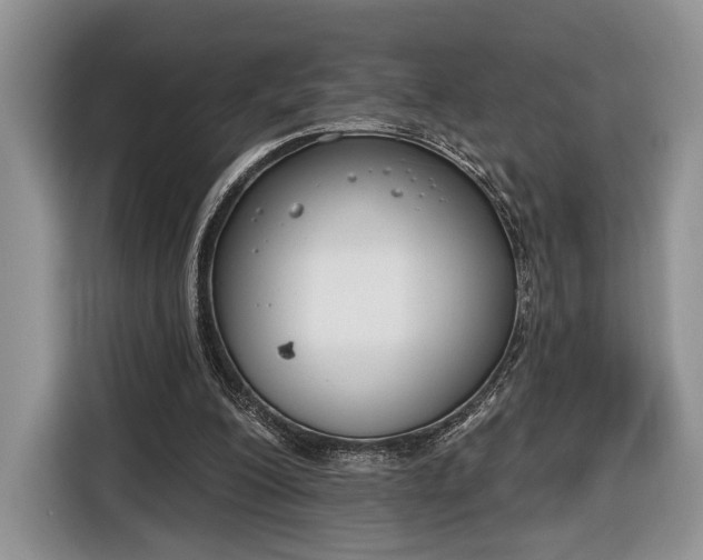 X0000116650200200912211454