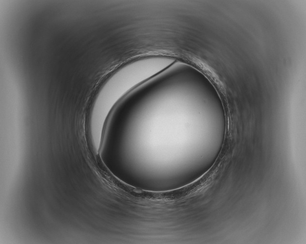X0000116650201200912211454