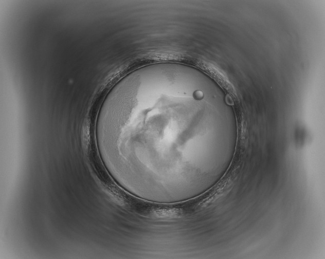 X0000116650202200912211454