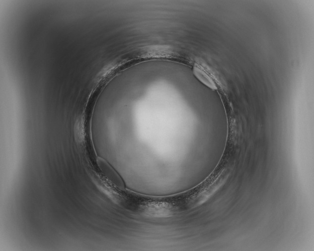 X0000116650203200912211454