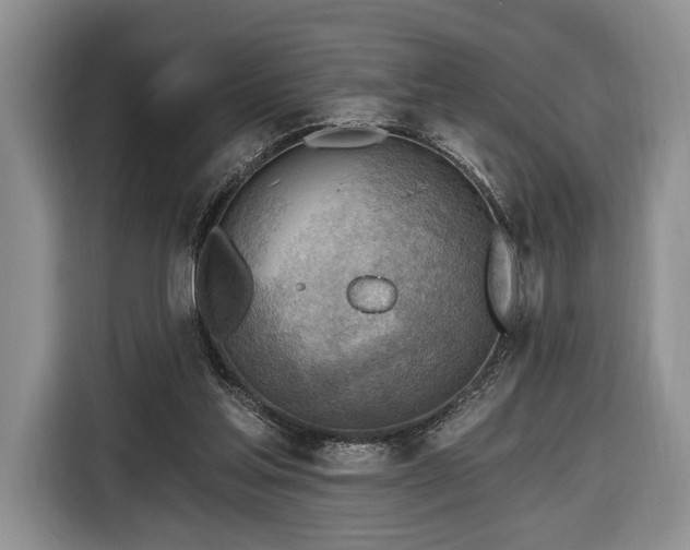 X0000116650205200912211454