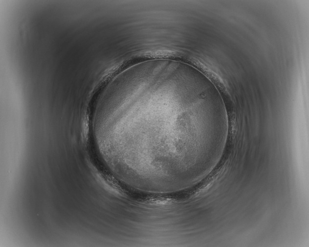 X0000116650206200912211454