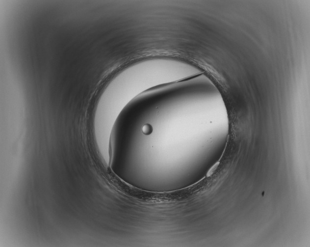 X0000116650207200912211454