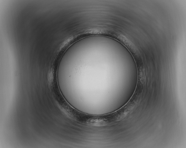 X0000116650208200912211454