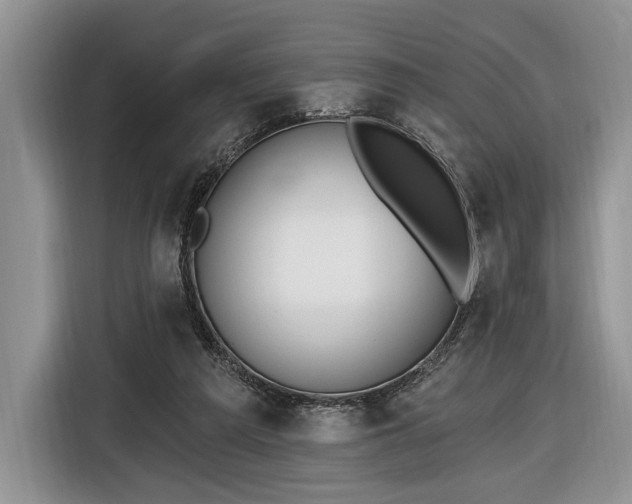 X0000116650209200912211454
