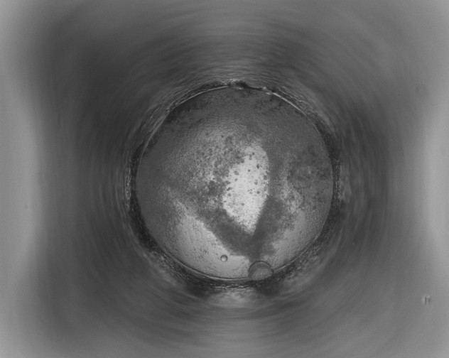 X0000116650210200912211454