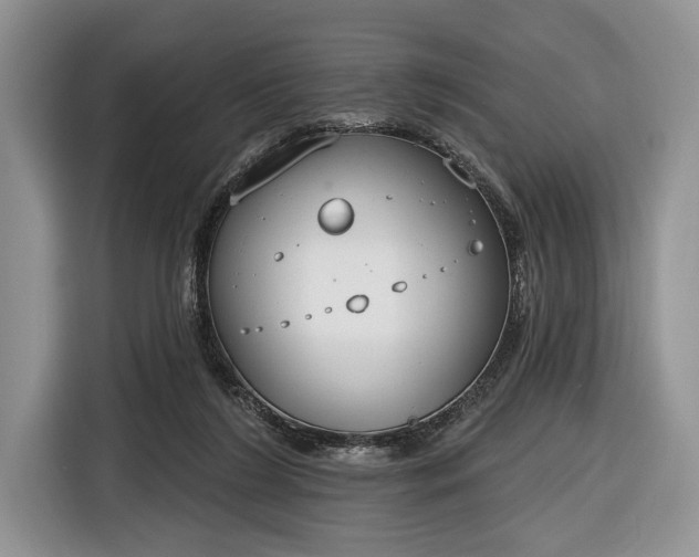 X0000116650212200912211453