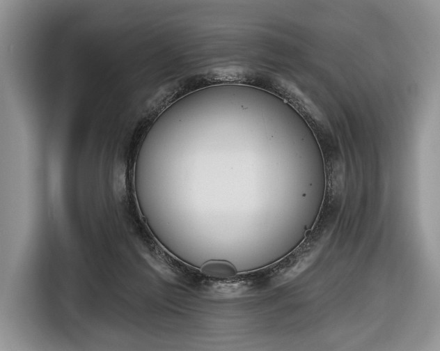 X0000116650213200912211453