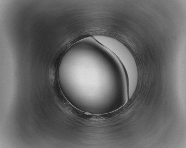 X0000116650215200912211453