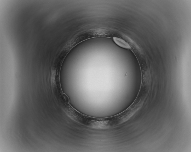 X0000116650217200912211453