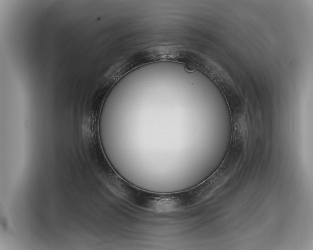 X0000116650218200912211453