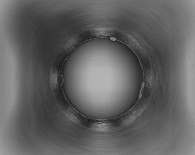 X0000116650219200912211453