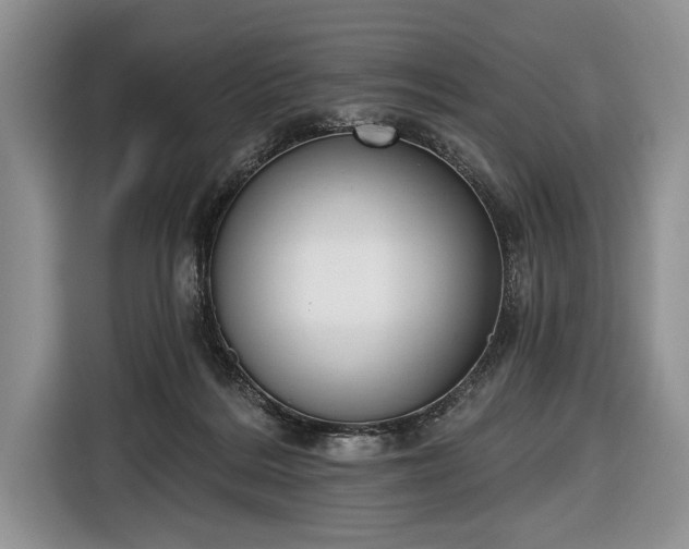 X0000116650220200912211453