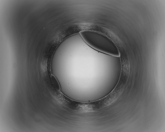 X0000116650221200912211453