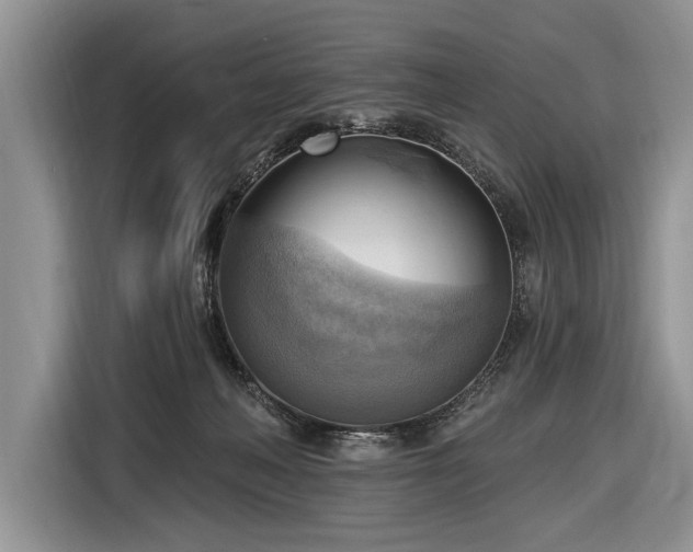 X0000116650222200912211453