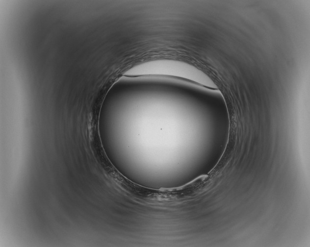 X0000116650223200912211453