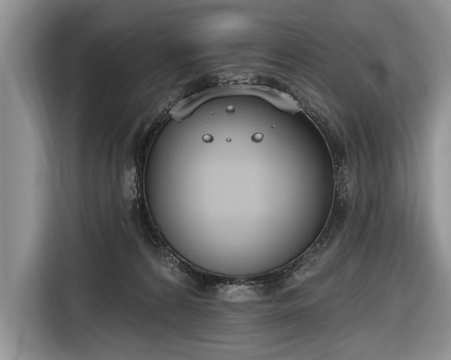 X0000116650224200912211453