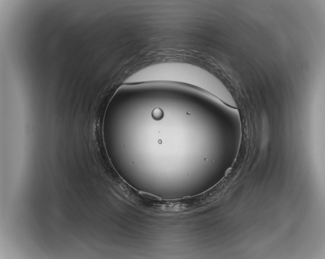 X0000116650225200912211453