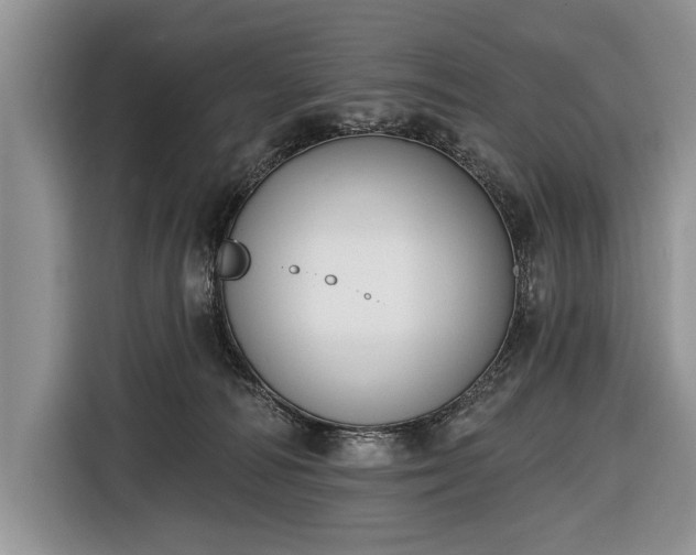 X0000116650226200912211453