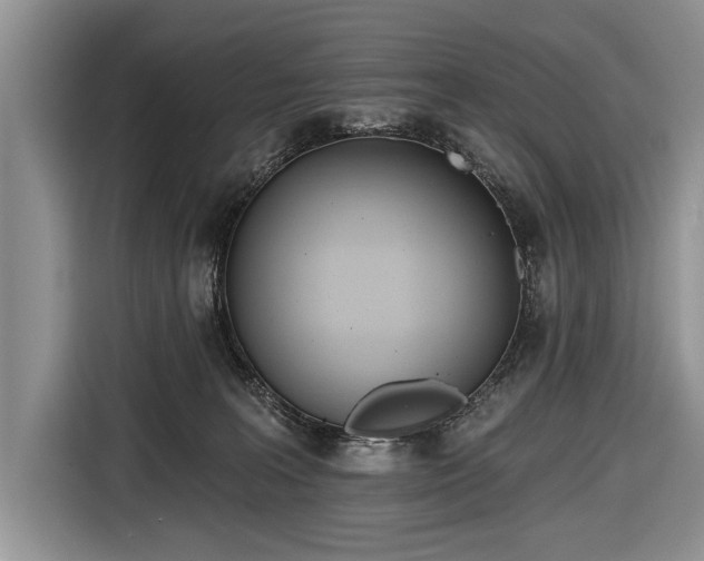 X0000116650227200912211453